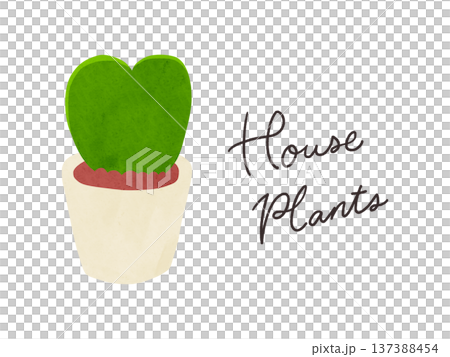 室內植物和盆栽球蘭捲曲水彩插圖 137388454