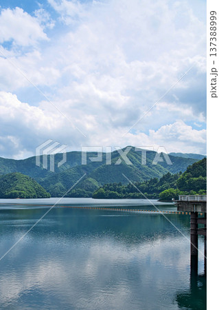 奥多摩湖　ダム堤体湖面側（夏、六月） 137388999