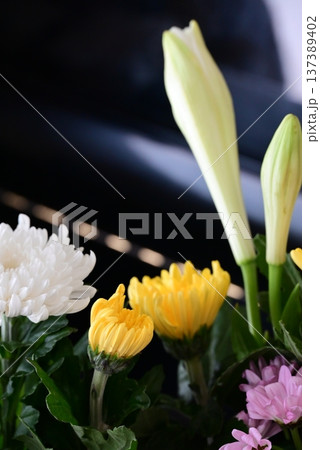 仏前に供えられた美しい菊の花 137389402