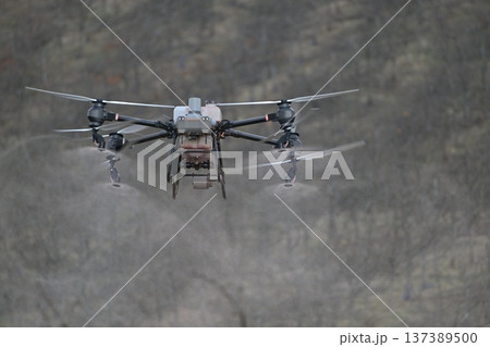 Agricultural drone spraying crop protection mist over pruned fruit trees in orchard for precision farming Agricultural drone spraying crop protection mist over pruned fruit trees in orchard for precision farming 137389500
