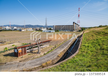 春の田園風景 京都府城陽市 春の田園風景 京都府城陽市 137389514