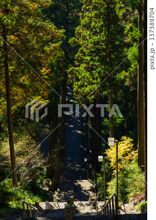 秋の山梨県身延町　紅葉の身延山久遠寺　菩提梯 137389704
