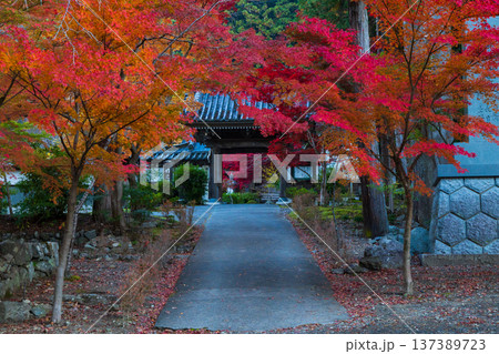 秋の山梨県身延町　紅葉の身延山久遠寺 137389723