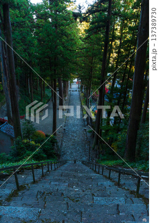 秋の山梨県身延町　紅葉の身延山久遠寺　菩提梯 137389730