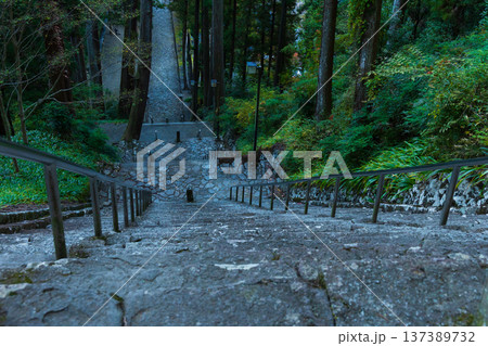 秋の山梨県身延町　紅葉の身延山久遠寺　菩提梯と鹿の親子 137389732