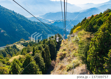 秋の山梨県身延町　紅葉の身延山ロープウェイ 137389757