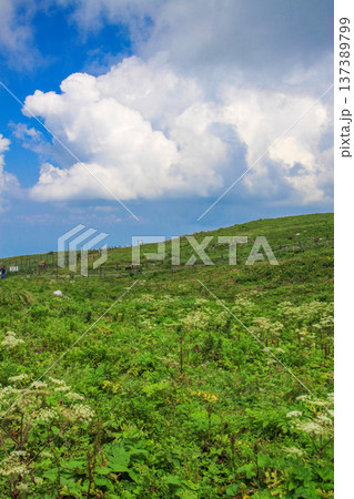 伊吹山 伊吹山 137389799