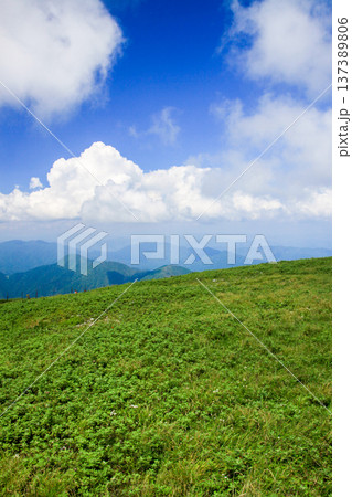 伊吹山 伊吹山 137389806