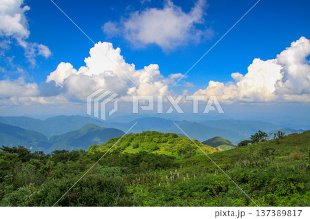 伊吹山 137389817