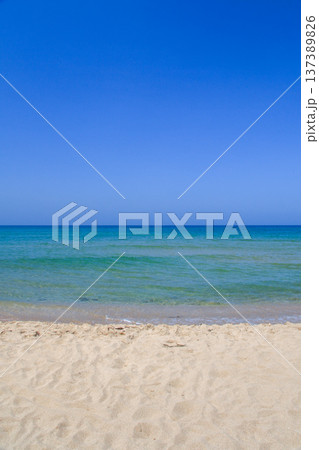 琴ヶ浜 琴ヶ浜 137389826