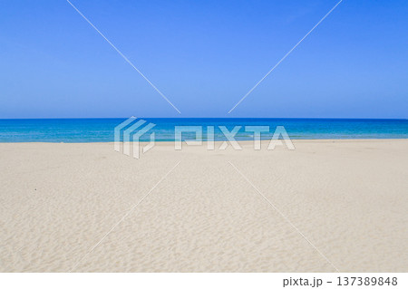 琴ヶ浜 137389848