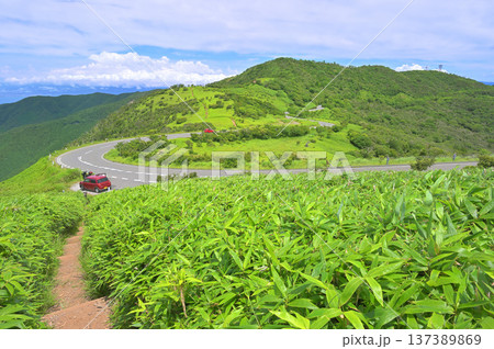 伊豆半島の伊豆山稜線歩道 夏の達磨山より小達磨山 伊豆半島の伊豆山稜線歩道 夏の達磨山より小達磨山 137389869