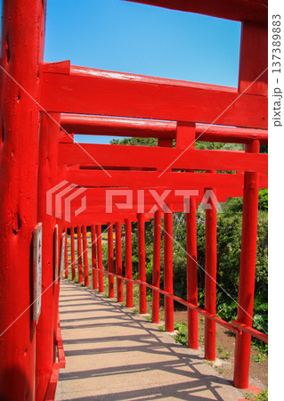元乃隅神社 137389883