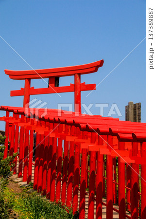 元乃隅神社 元乃隅神社 137389887