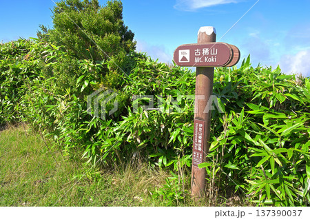 伊豆半島の伊豆山稜線歩道　夏の古稀山山頂 137390037