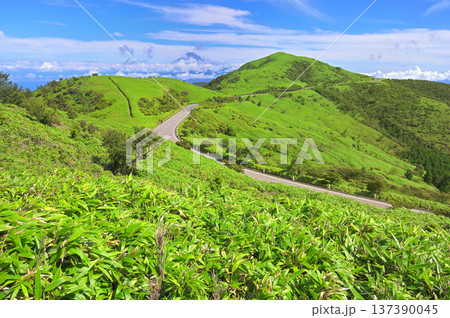 伊豆半島の伊豆山稜線歩道　夏の古稀山より望む富士山と達磨山と西伊豆スカイライン 137390045