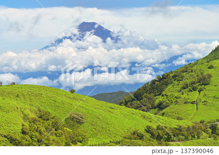 伊豆半島の伊豆山稜線歩道　古稀山より望む雲わく夏の富士山 137390046