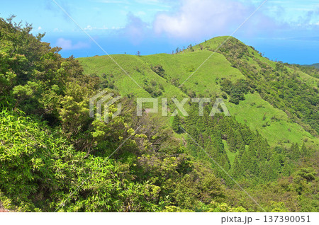 伊豆半島　夏の伊豆山稜線歩道　古稀山より緑の山地 137390051