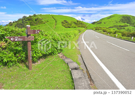 伊豆半島　夏の伊豆山稜線歩道の古稀山　雲間の富士山と緑の達磨山と西伊豆スカイライン 137390052