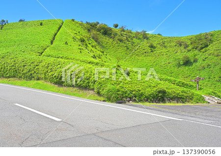 伊豆半島　夏の伊豆山稜線歩道　西伊豆スカイラインの戸田駐車場 137390056