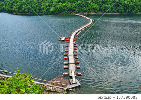 奥多摩湖　麦山浮橋（夏、六月） 137390085