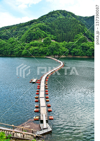 奥多摩湖　麦山浮橋（夏、六月） 137390087