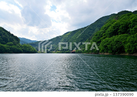 奥多摩湖　麦山浮橋から見る峰谷橋（夏、六月） 137390090