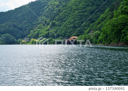 奥多摩湖　麦山浮橋から見る峰谷橋（夏、六月） 137390091