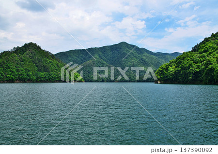 奥多摩湖 麦山浮橋から見る峰谷橋(夏、六月) 奥多摩湖 麦山浮橋から見る峰谷橋(夏、六月) 137390092