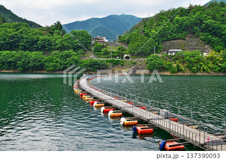 奥多摩湖　麦山浮橋（夏、六月） 137390093