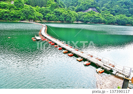 奥多摩湖　麦山浮橋（夏、六月） 137390117