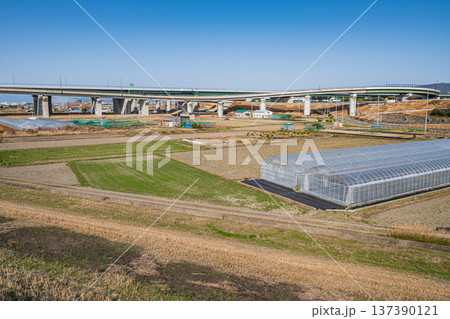 城陽市の田園地帯を通る自動車専用道路　京奈和自動車道　京都府城陽市 137390121