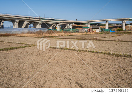 城陽市の田園地帯を通る自動車専用道路　京奈和自動車道　京都府城陽市 137390133