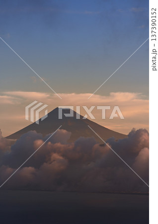 静岡県伊豆市 だるま山高原より 朝焼け富士山 コピースペース 静岡県伊豆市 だるま山高原より 朝焼け富士山 コピースペース 137390152