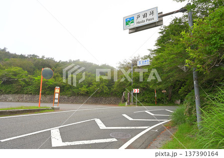 伊豆半島の戸田峠 道路を横断する伊豆山稜線歩道の登山道 伊豆半島の戸田峠 道路を横断する伊豆山稜線歩道の登山道 137390164