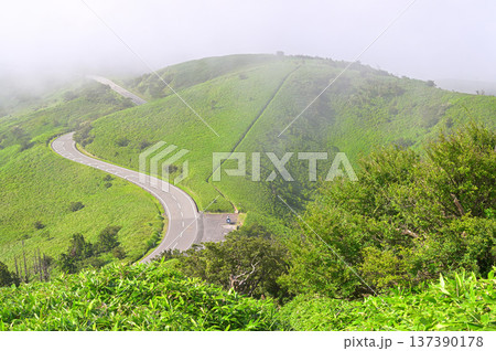 伊豆半島の伊豆山稜線歩道 達磨山より霧が晴れる夏の稜線歩道と西伊豆スカイライン 伊豆半島の伊豆山稜線歩道 達磨山より霧が晴れる夏の稜線歩道と西伊豆スカイライン 137390178