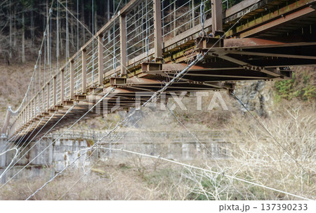 吊り橋,橋,ワイヤー,橋梁構造,鉄橋,歩道橋,ロープ橋,山間部,山奥,インフラ 吊り橋,橋,ワイヤー,橋梁構造,鉄橋,歩道橋,ロープ橋,山間部,山奥,インフラ 137390233