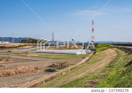 春の田園風景 京都府城陽市 春の田園風景 京都府城陽市 137390276