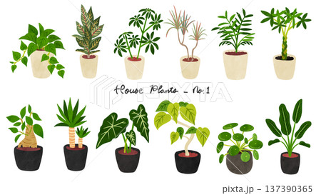 観葉植物12種類のセット1　水彩風手描きイラスト 137390365