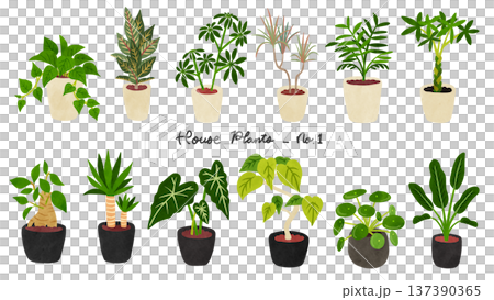 観葉植物12種類のセット1　水彩風手描きイラスト 137390365