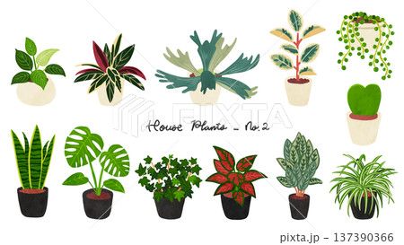 観葉植物12種類のセット2　水彩風手描きイラスト 137390366