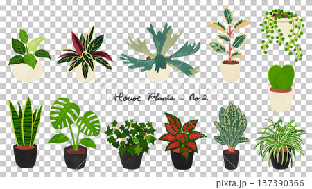 観葉植物12種類のセット2　水彩風手描きイラスト 137390366