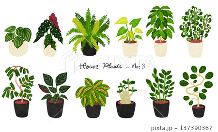 観葉植物12種類のセット3　水彩風手描きイラスト 137390367