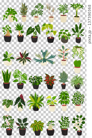 一組36株室內植物,水彩風格手繪插圖 一組36株室內植物,水彩風格手繪插圖 137390368