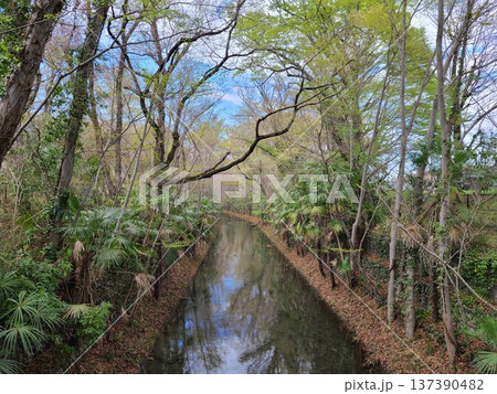 福生市加美上水橋 福生市加美上水橋 137390482