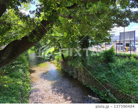 立川市玉川上水駅 137390484