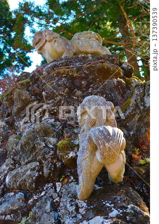 大山獅子 137390539