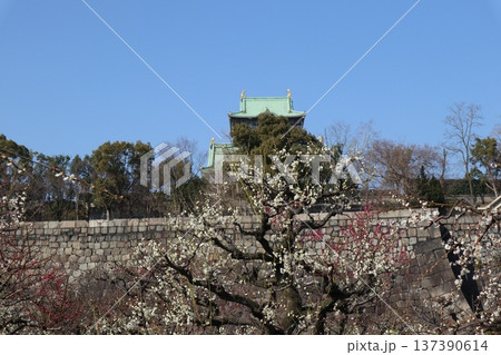 春の訪れ梅花薫る大阪城 137390614