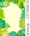 手描き水彩画の新緑と森のフレームイラスト。自然、エコ、森林浴をテーマにした背景素材 137390678