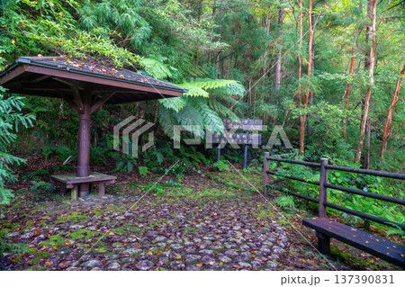 前岳岳参り登山口　洋上アルプス屋久島(秋 137390831